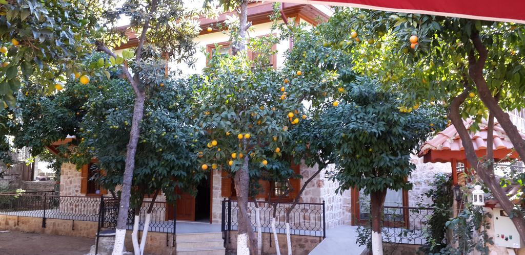 Citrus Garden Hotel Antalya Exterior foto