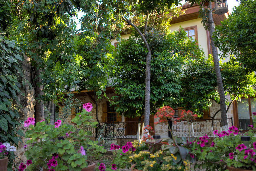 Citrus Garden Hotel Antalya Exterior foto