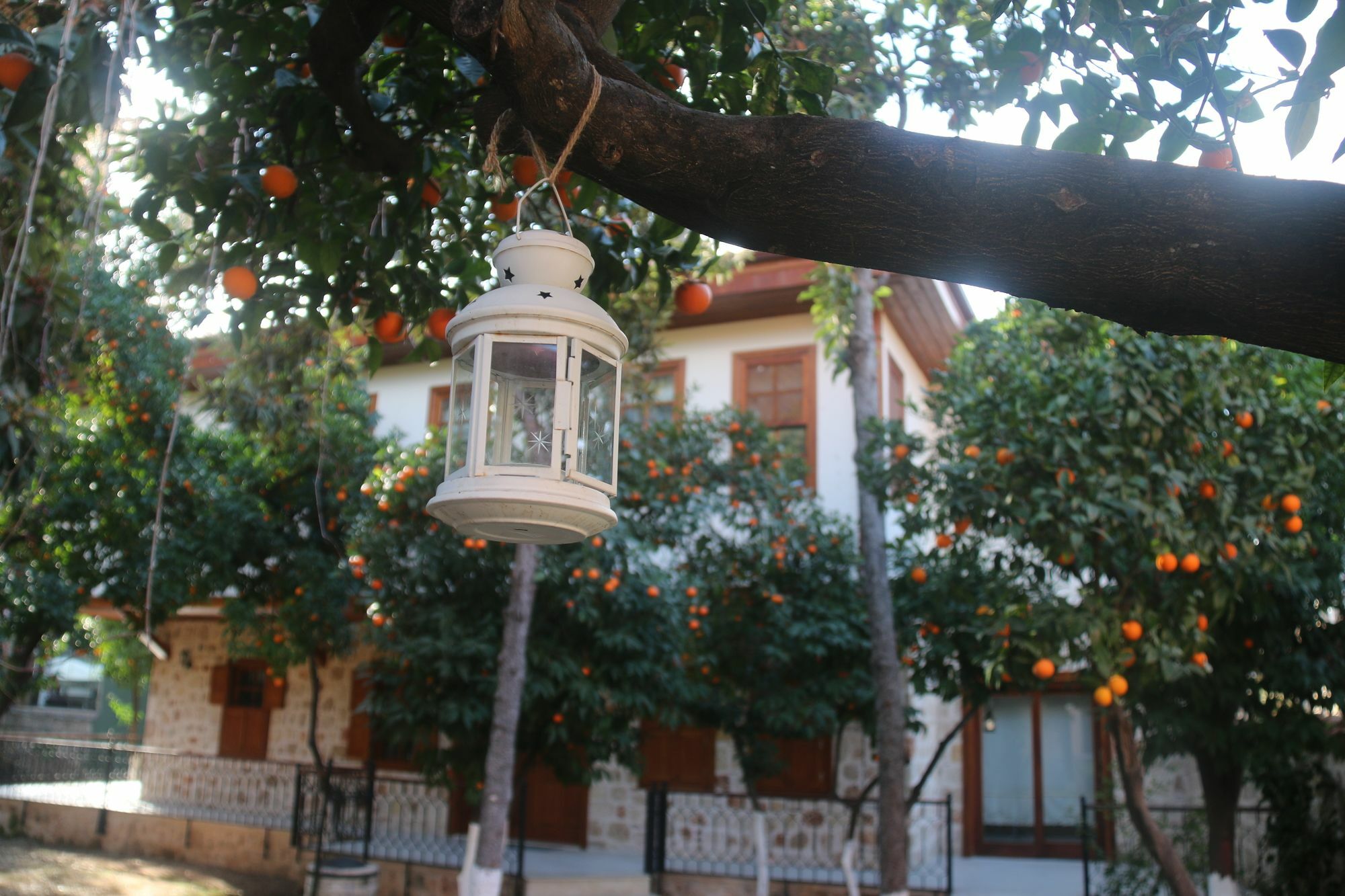 Citrus Garden Hotel Antalya Exterior foto